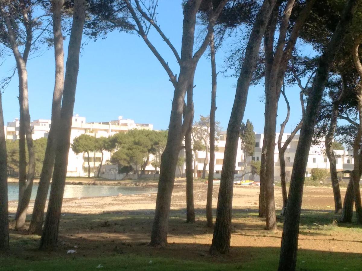 Frontemare Carlo