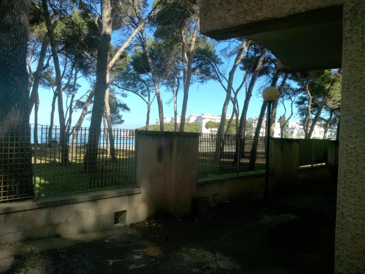 Frontemare Carlo Appartamento